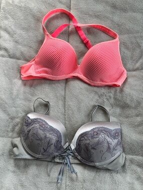 2 Bra Set XOXO Coral Pink Mesh Bra & Ambrielle Silver Lace-Accent
